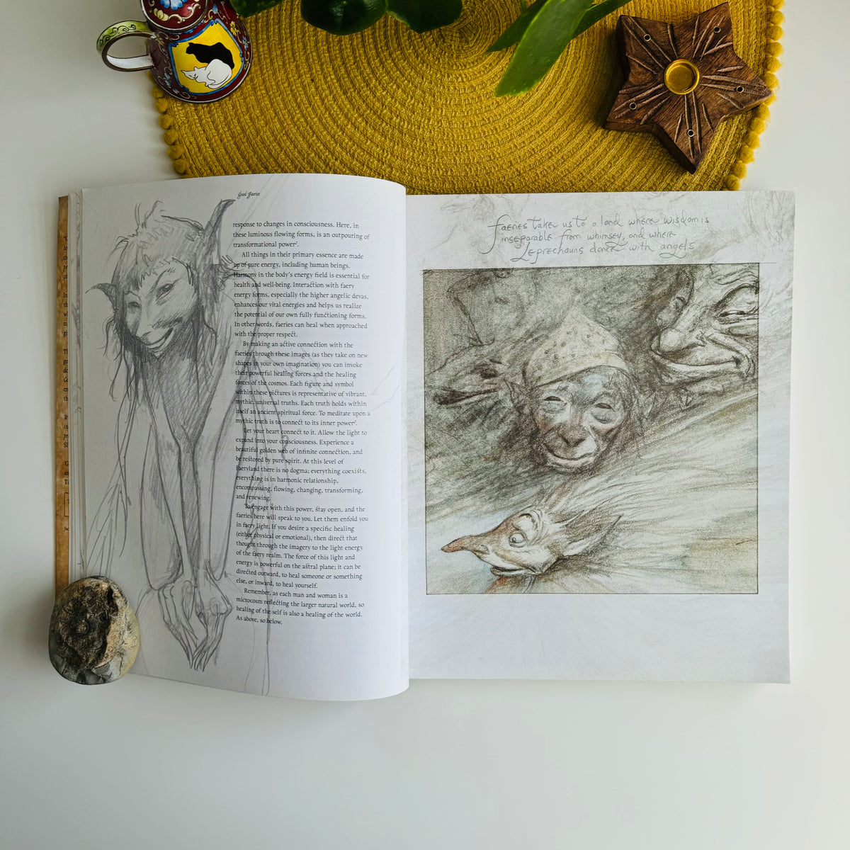 Good Faeries, Bad Faeries by Brian Froud