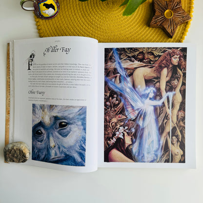Good Faeries, Bad Faeries by Brian Froud