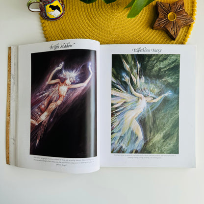 Good Faeries, Bad Faeries by Brian Froud
