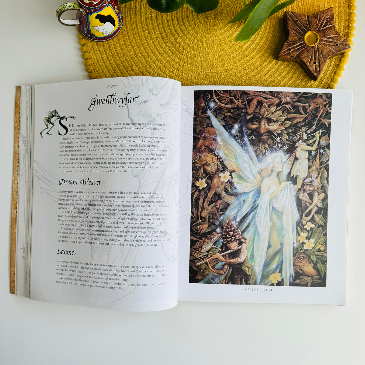 Good Faeries, Bad Faeries by Brian Froud