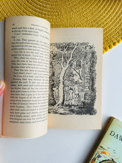 Vintage The Chronicles of Narnia Seven Book Set, C S Lewis, 1968 - 1972 Edition