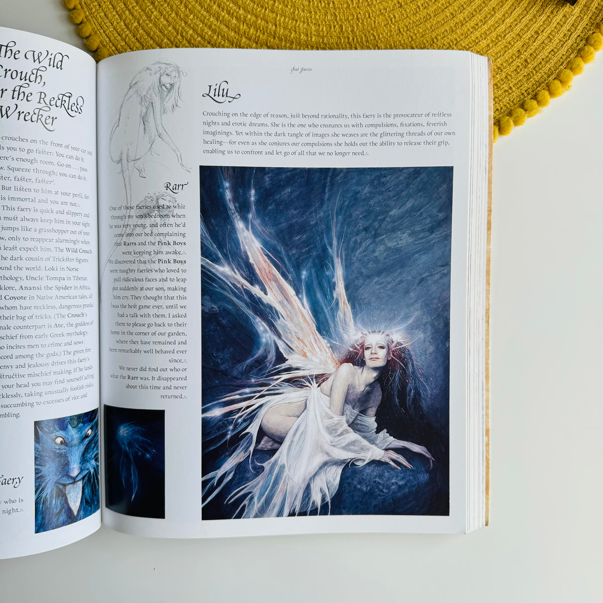 Good Faeries, Bad Faeries by Brian Froud