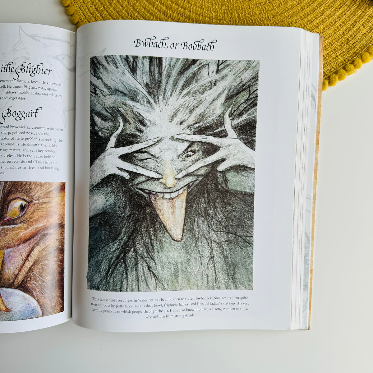 Good Faeries, Bad Faeries by Brian Froud