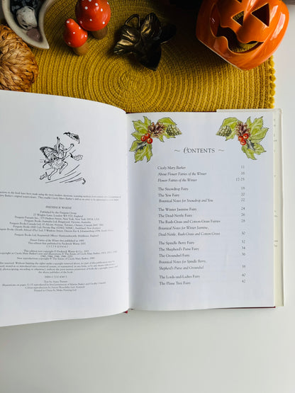 Flower Fairies of the Winter: A Celebration by Cicely Mary Barker