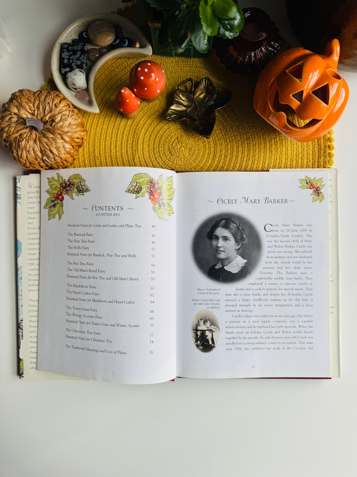 Flower Fairies of the Winter: A Celebration by Cicely Mary Barker