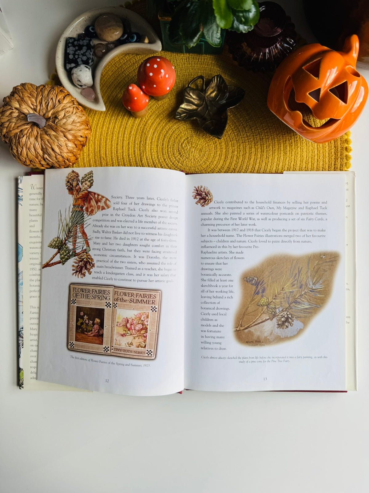 Flower Fairies of the Winter: A Celebration by Cicely Mary Barker