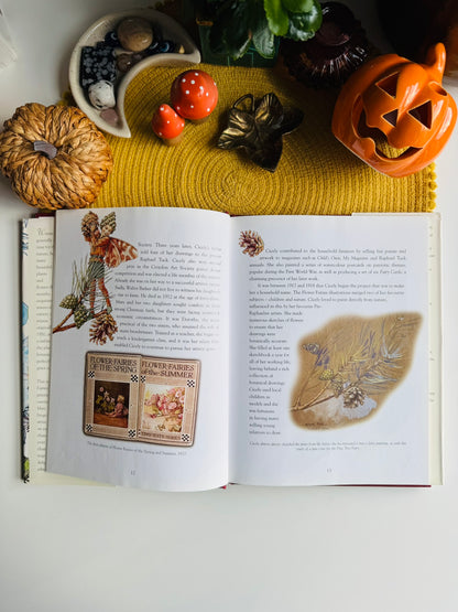 Flower Fairies of the Winter: A Celebration by Cicely Mary Barker