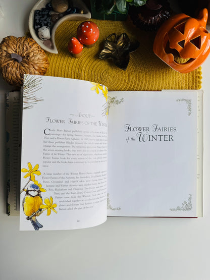 Flower Fairies of the Winter: A Celebration by Cicely Mary Barker