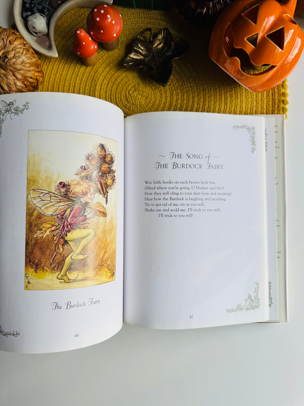 Flower Fairies of the Winter: A Celebration by Cicely Mary Barker