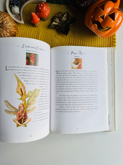 Flower Fairies of the Winter: A Celebration by Cicely Mary Barker