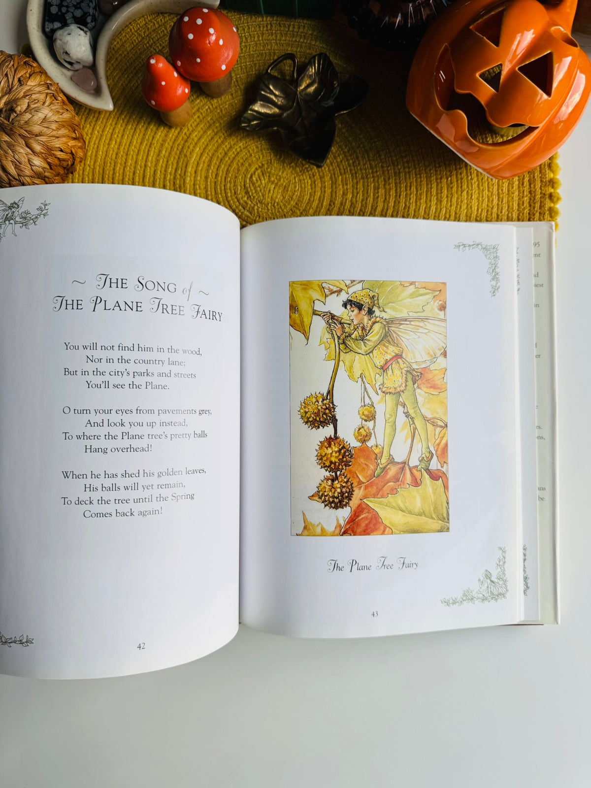Flower Fairies of the Winter: A Celebration by Cicely Mary Barker