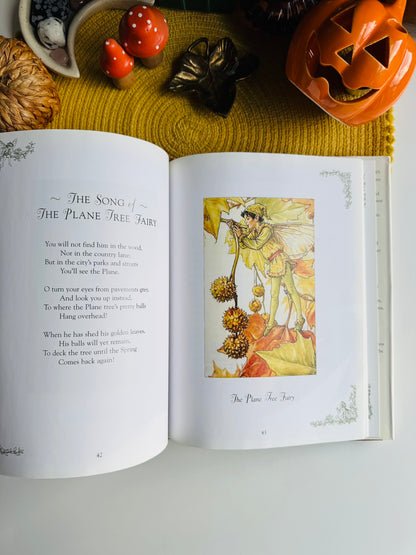 Flower Fairies of the Winter: A Celebration by Cicely Mary Barker