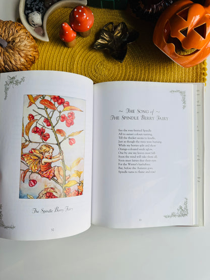 Flower Fairies of the Winter: A Celebration by Cicely Mary Barker