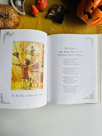 Flower Fairies of the Winter: A Celebration by Cicely Mary Barker
