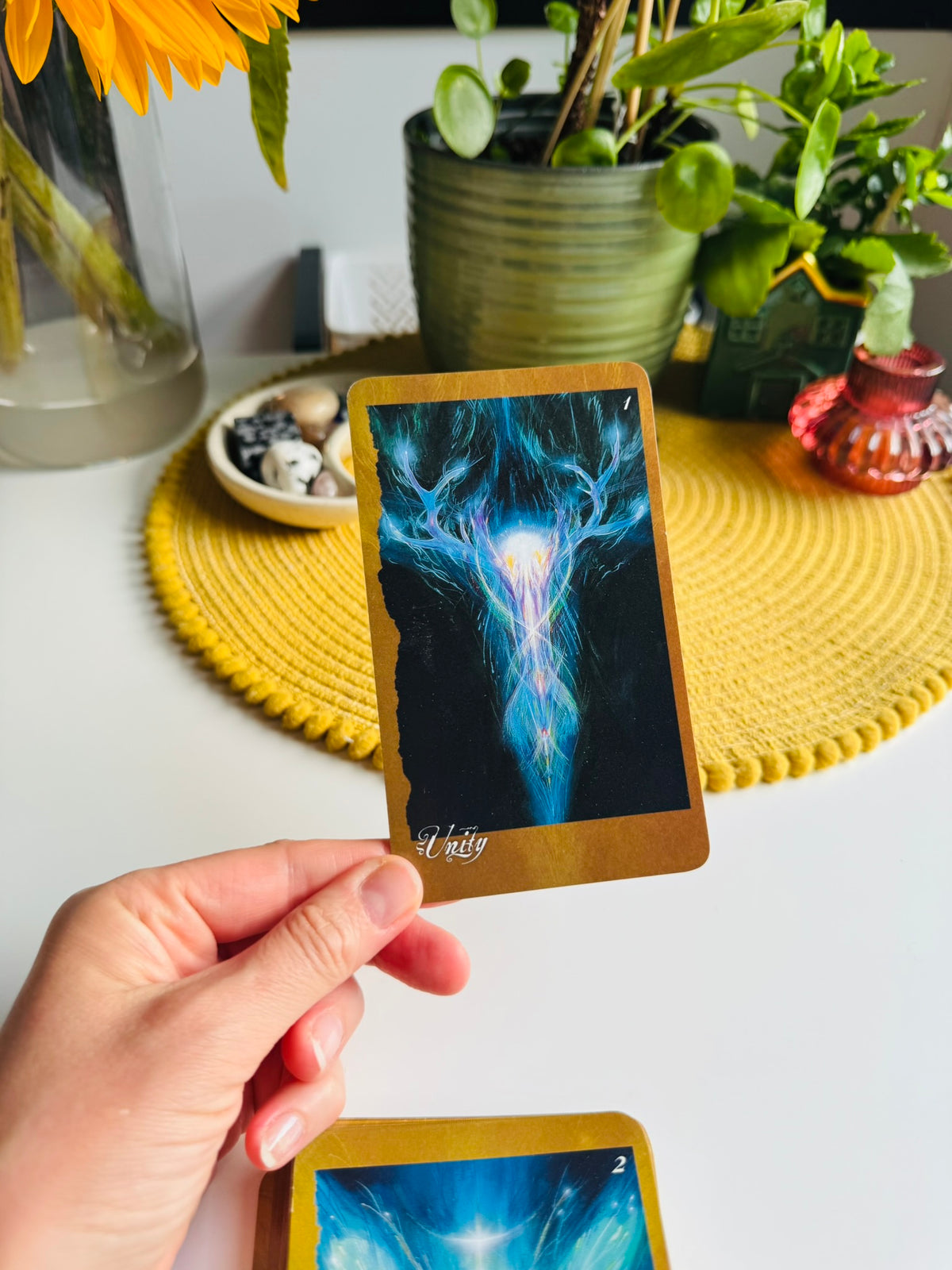 The Faeries Oracle Deck by Brian Froud