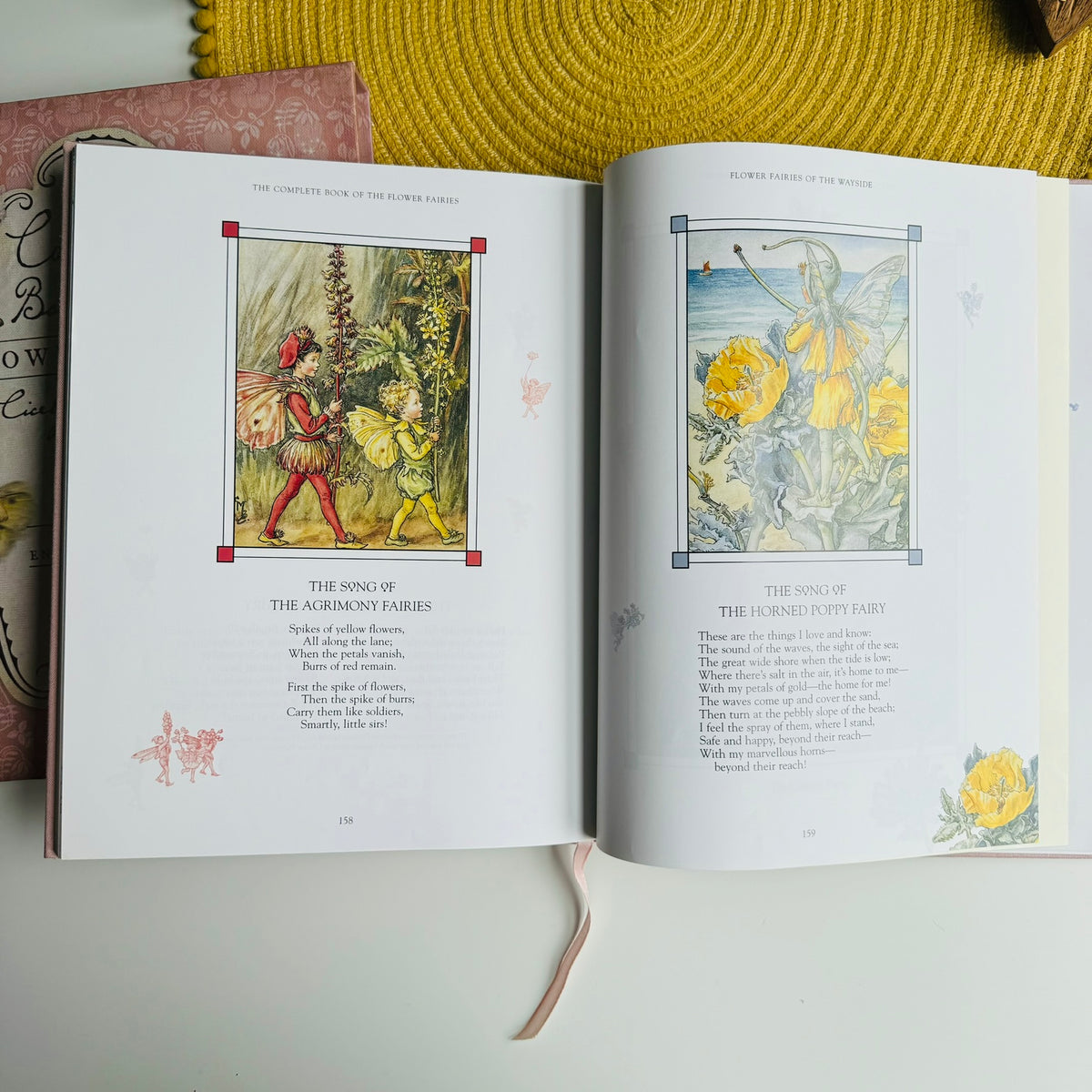 Flower Fairies Library Set by Cicely Mary Barker (1999)