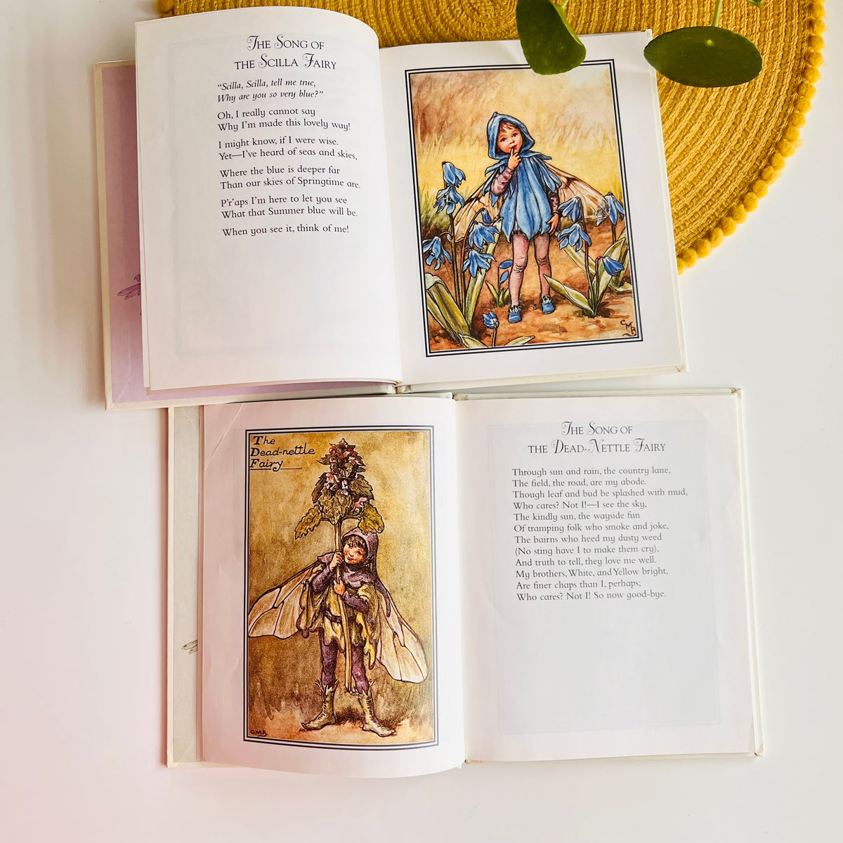 Flower Fairies Library Set by Cicely Mary Barker (1999)