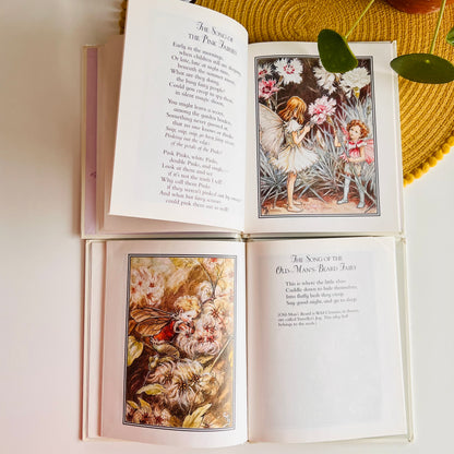 Flower Fairies Library Set by Cicely Mary Barker (1999)