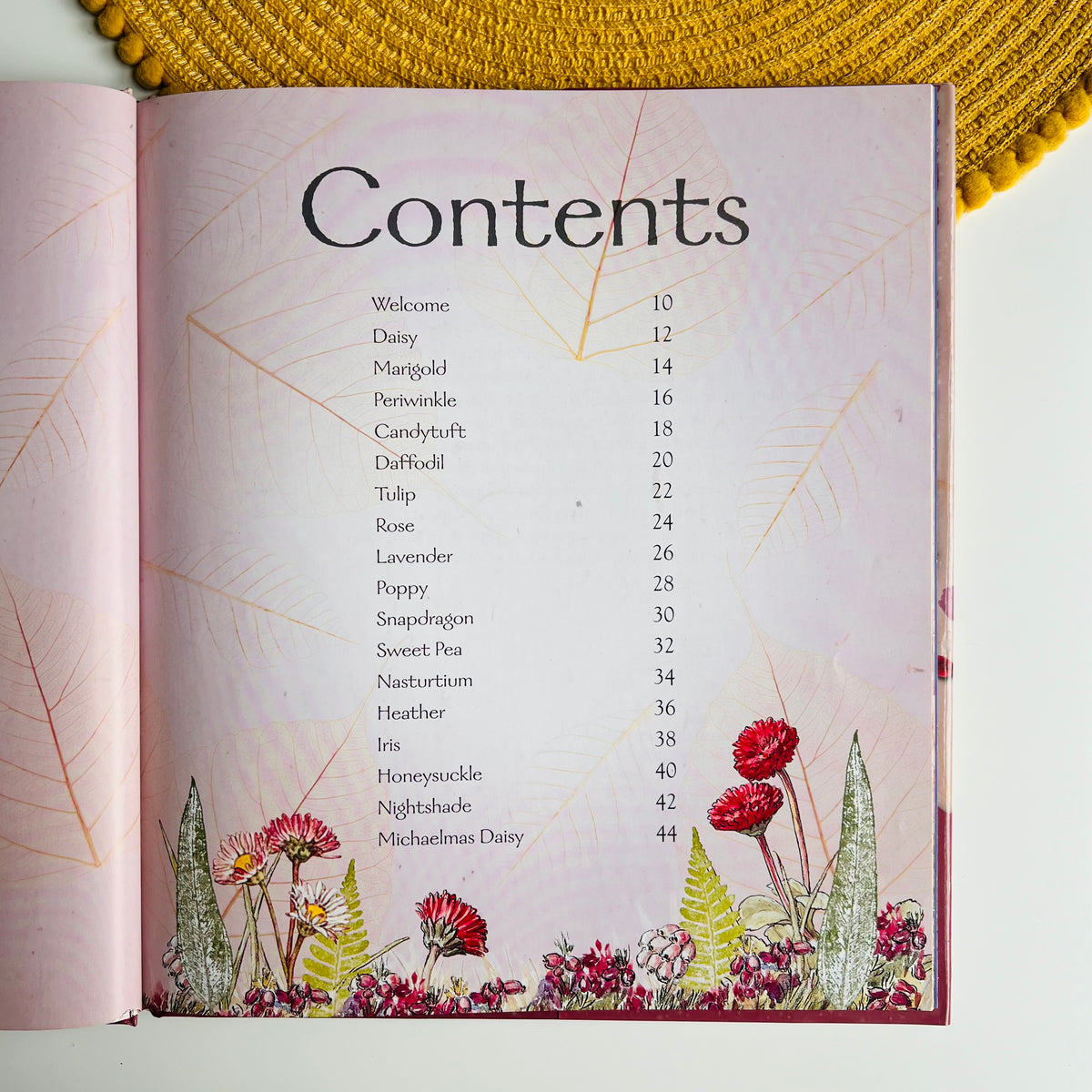 Flower Fairies Friends: My Garden Of Flower Fairies by Cicely Mary Barker