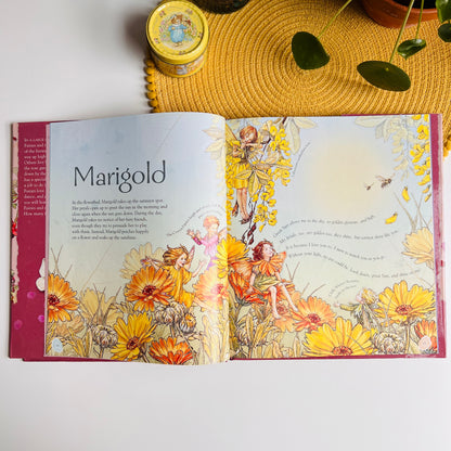 Flower Fairies Friends: My Garden Of Flower Fairies by Cicely Mary Barker