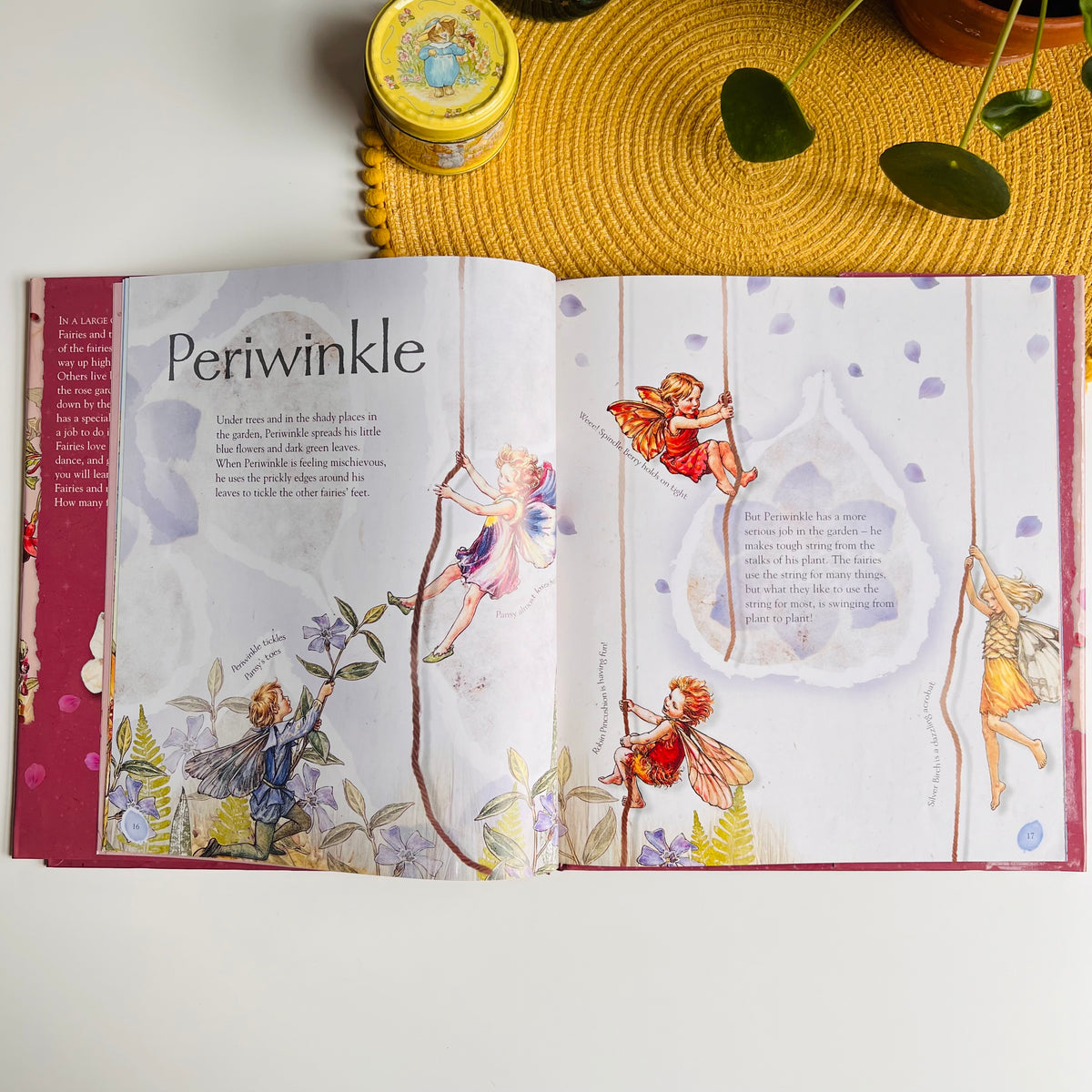 Flower Fairies Friends: My Garden Of Flower Fairies by Cicely Mary Barker