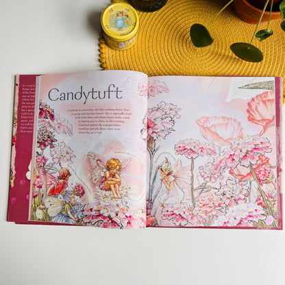 Flower Fairies Friends: My Garden Of Flower Fairies by Cicely Mary Barker