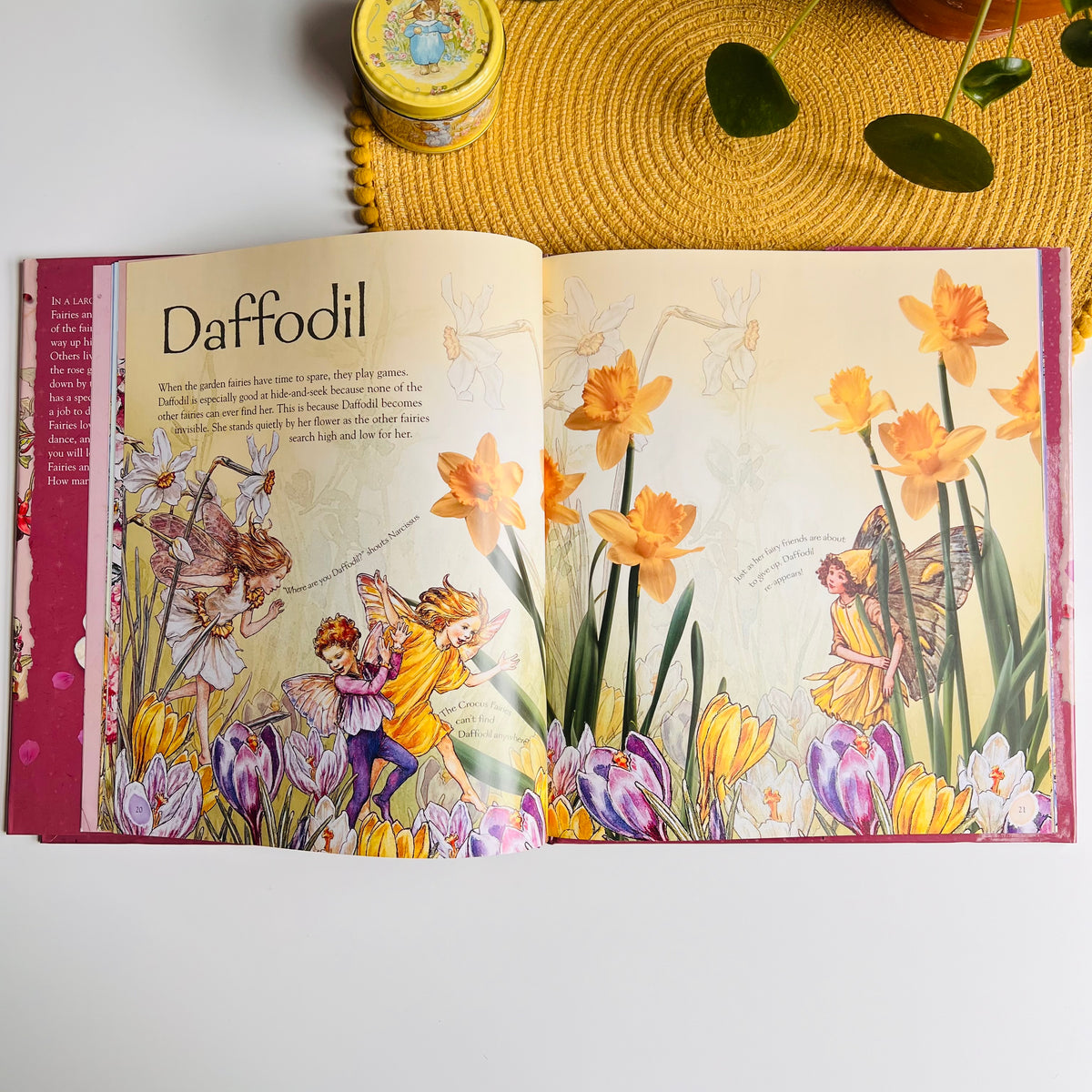 Flower Fairies Friends: My Garden Of Flower Fairies by Cicely Mary Barker