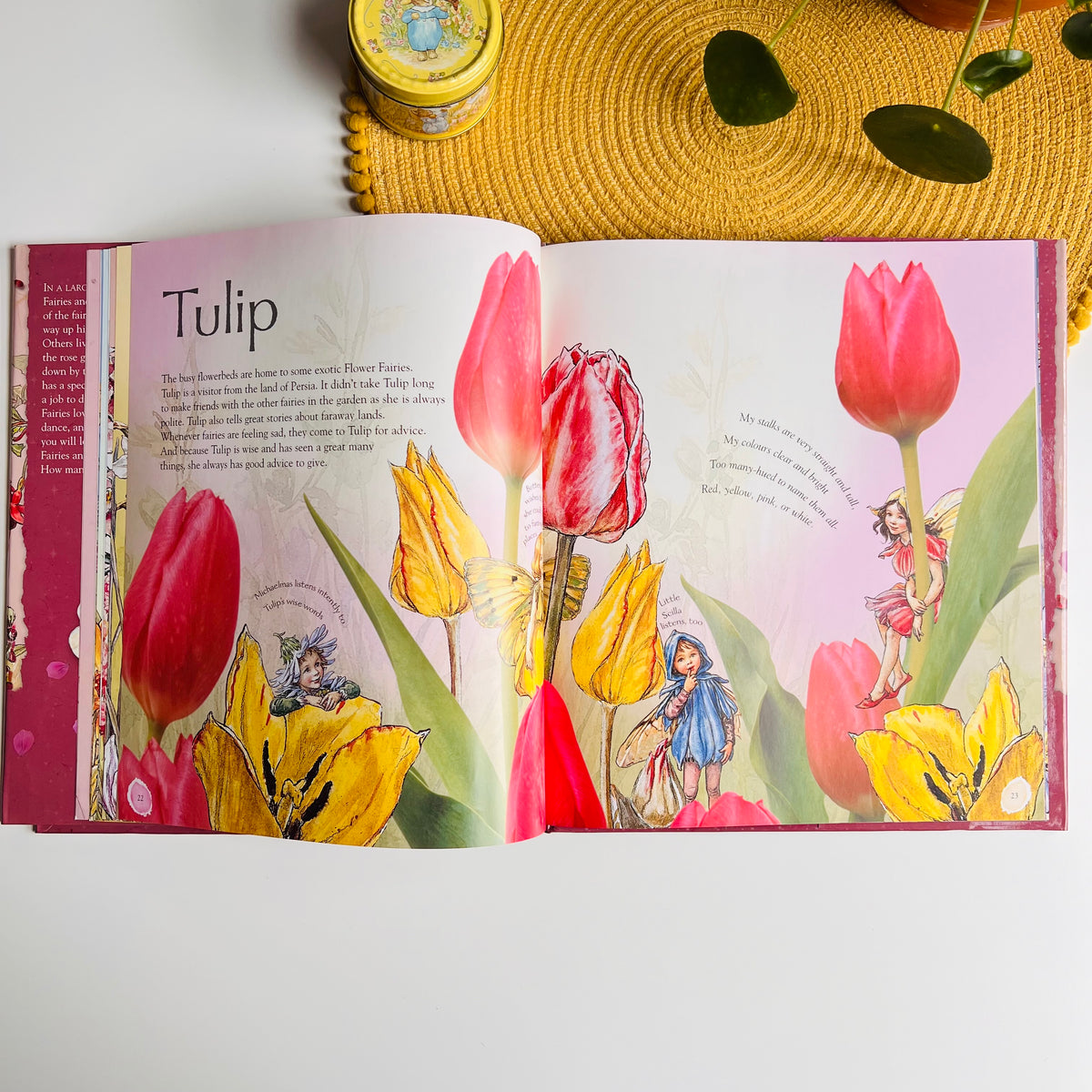 Flower Fairies Friends: My Garden Of Flower Fairies by Cicely Mary Barker