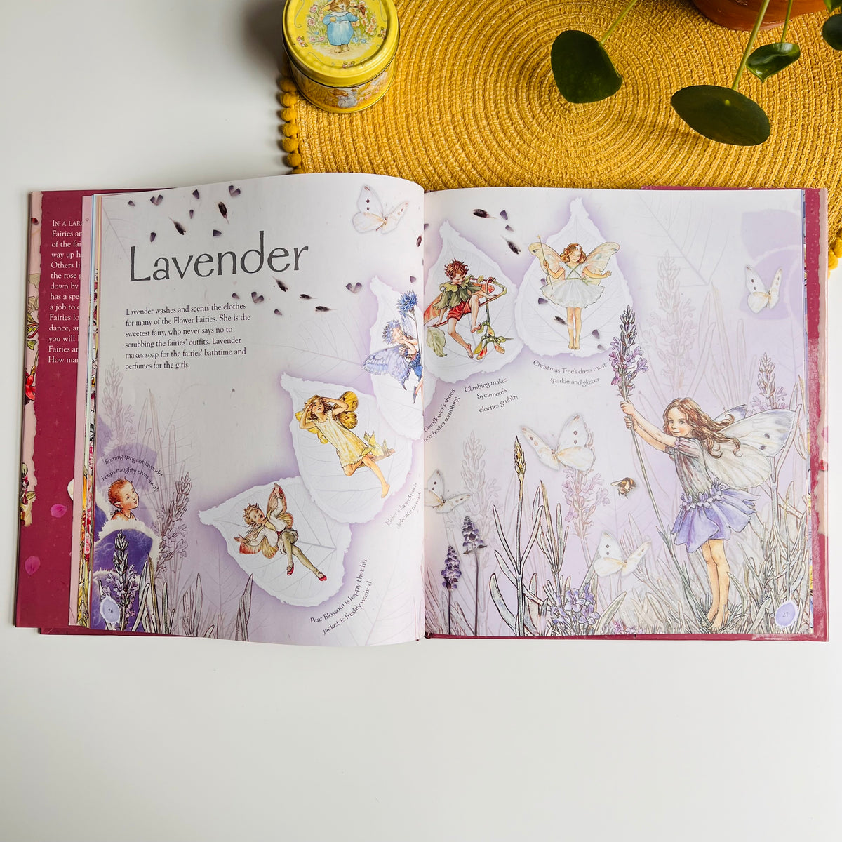 Flower Fairies Friends: My Garden Of Flower Fairies by Cicely Mary Barker