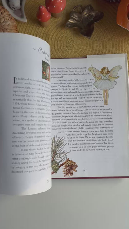 Flower Fairies of the Winter: A Celebration by Cicely Mary Barker